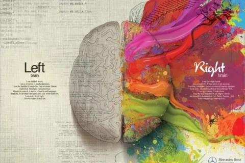 NEUROTYPE MADNESS – Right v Left Brain Chaos