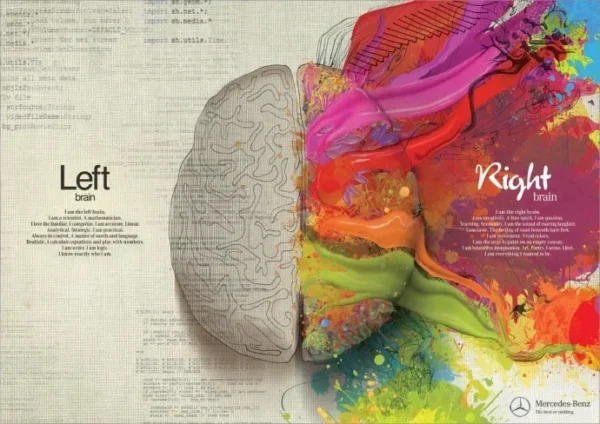 NEUROTYPE MADNESS – Right v Left Brain Chaos