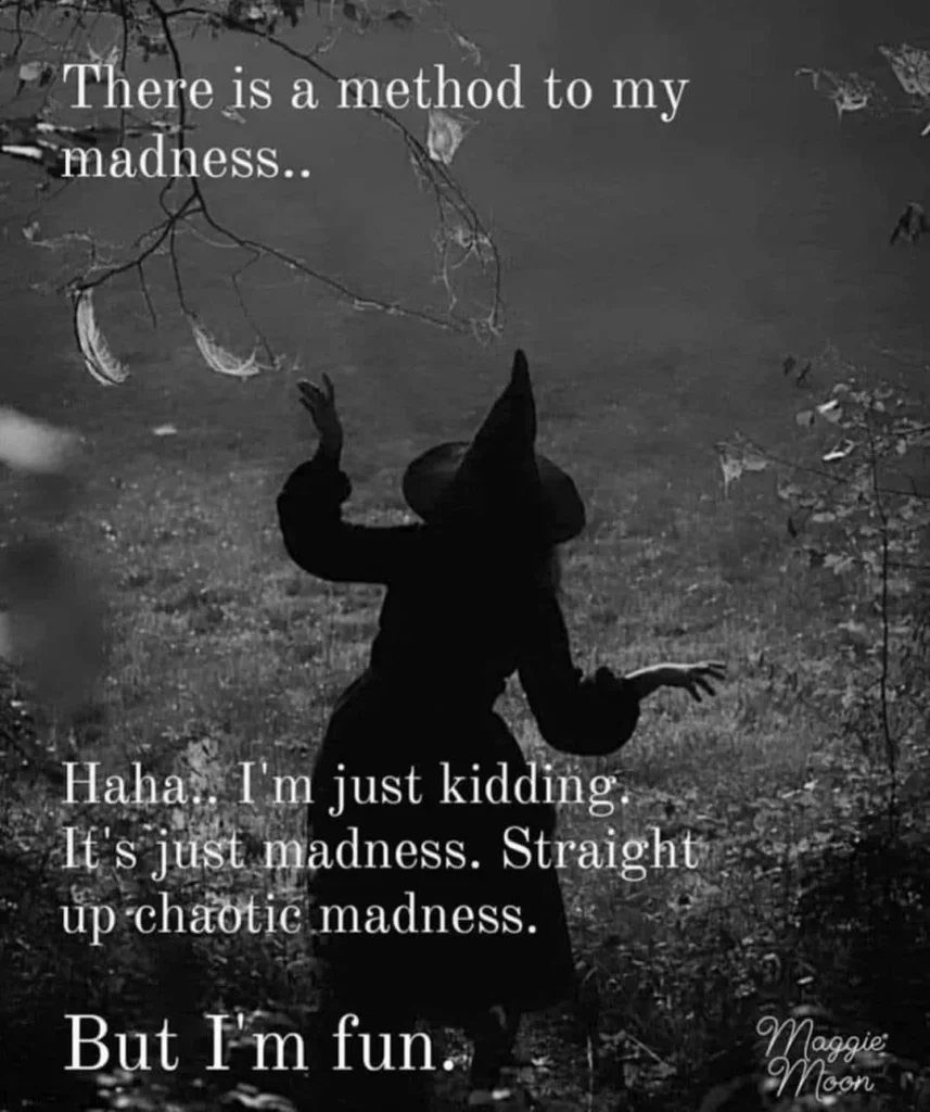 Fun image about madness and my methods!
