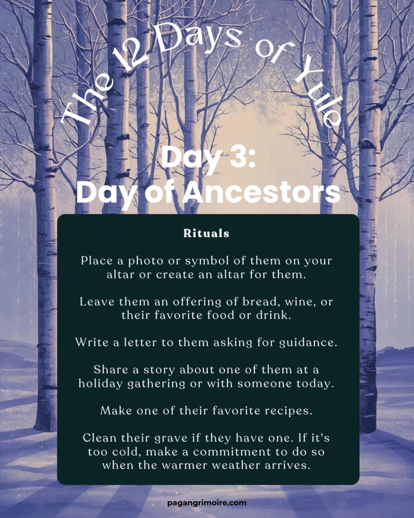 https://www.pagangrimoire.com/12-days-of-yule/