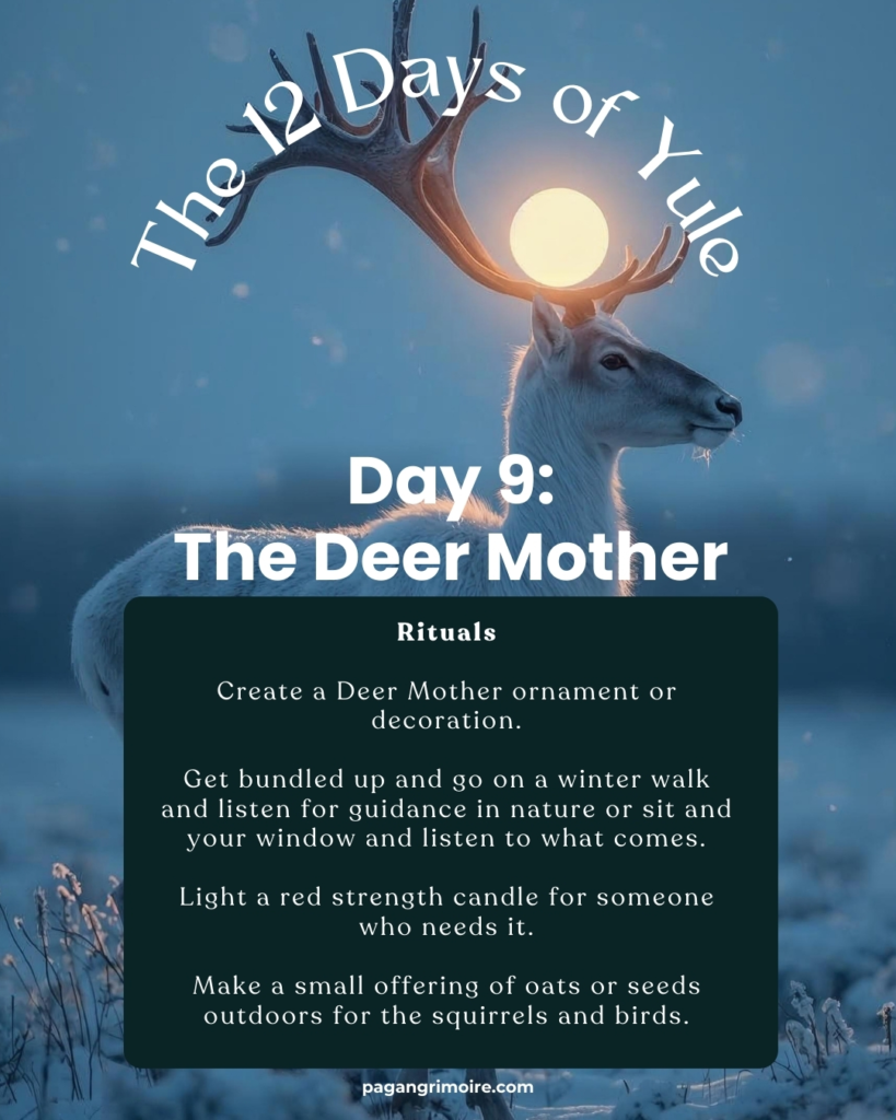 https://www.pagangrimoire.com/12-days-of-yule/
